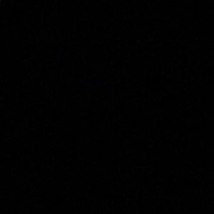 Meet your Posher, Sanvi